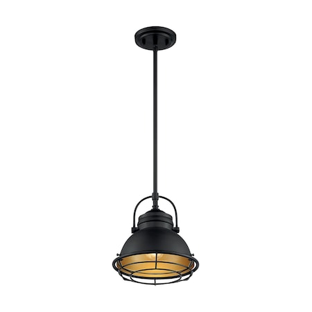 Nuvo Fixture, Pendant, 1-Light, Incandescent, 60W, 120V, A19, Medium Base, Standards: cETLus 60/7073